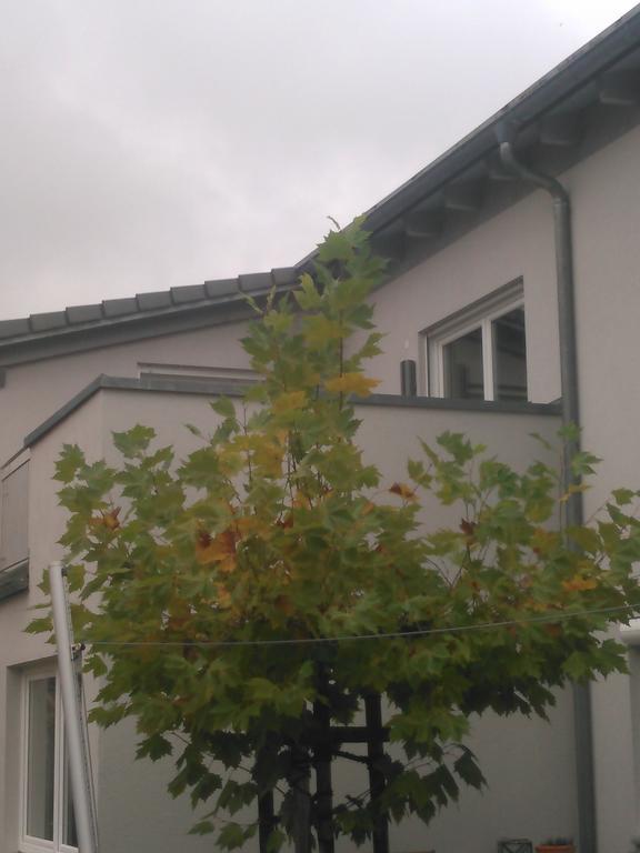 Apartment Zum Kletterturm